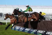 Cheltenham Festival 2026: Complete Guide to Watching Every Race on TV and Online