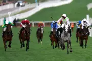 Cheltenham Festival 2026: Full Schedule, Race Card, and Viewing Details