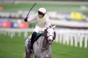 Cheltenham Festival 2026: Full Winners List, Racecard & TV Coverage Details
