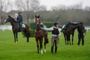 Cheltenham Festival 2026 Kicks Off with Galopin Des Champs Out of Gold Cup