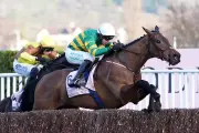 Cheltenham Festival 2026: The Most Unpredictable Edition in Recent Memory
