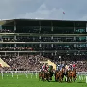 Cheltenham Festival Day Three: Newsboy's Expert Tips for Every Race