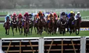 Cheltenham Festival Gold Cup Day: Live Updates, Tips and Race Results