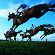 Cheltenham Festival Jockey Suspensions Mount Amid Allegations of Abuse