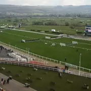 Cheltenham Festival Rocked as Horse HMS Seahorse Dies After Race Injury