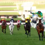 Cheltenham Gold Cup 2026: Full Guide, Odds, and Expert Verdict for Friday's Showpiece