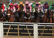 Cheltenham Gold Cup Day 2026: Five Expert Betting Tips and Key Horses to Watch