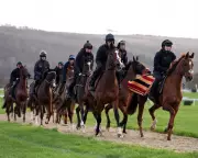 Cheltenham Gold Cup Day: Harry Redknapp's Dream with The Jukebox Man