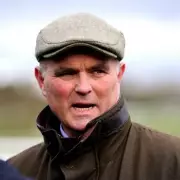 Cheltenham Trainer Evan Williams Convicted of GBH in Dog Walker Assault
