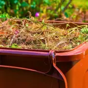 Compost Bin Hack: Use Paper Shopping Bags to Prevent Spring Pests