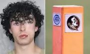 Conor McAneney, Florida State Football Player, Arrested on Battery Charge