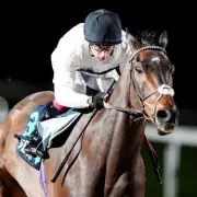 Constitution Hill Returns to Kempton for Second Flat Race Against Seven Rivals