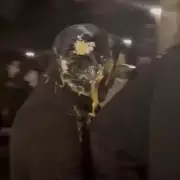 Convicted Rapist Egged by Angry Mob in Cumbernauld as Police Intervene