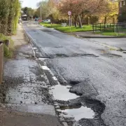 Council Slams Driver's DIY Pothole Fixes with Soil and Flowers