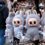 Counterfeit Labubu Toy Recall Issued Over Serious Choking Hazard Risk