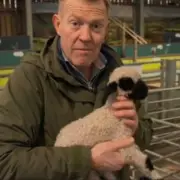 Countryfile's Adam Henson Welcomes Rare Valais Blacknose Lamb in Farm First