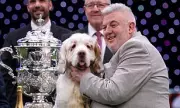 Crufts Best in Show Winner Has Past Animal Cruelty Conviction