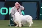 Crufts Winner Faces Calls to Lose Award After Animal Cruelty Conviction Revealed
