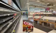 Darwin Supermarket Shelves Stripped Bare After Flooding Disrupts Freight Routes