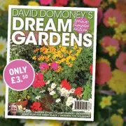 David Domoney's Dream Gardens Spring/Summer Special: Transform Your Outdoor Space