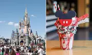 Disney World Faces Backlash Over $20 Milkshakes Amid Rising Theme Park Costs