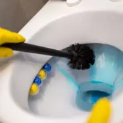 Ditch Your Toilet Brush: Expert's Daily Bleach Method Cleans More Effectively