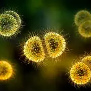 Doctor Warns of Early Meningitis Signs Beyond the Rash as Kent Outbreak Grows