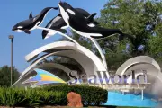 DOJ Sues SeaWorld Parent Over Wheeled Walker Ban, Citing Disability Rights