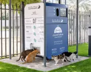 Dubai Deploys AI Feeding Stations as Pet Abandonment Crisis Deepens