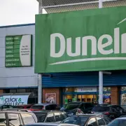 Dunelm's £15 Floral Decor Brightens Homes with Colourful Artificial Hydrangeas