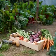 Expert Reveals Five Essential Seeds to Plant in April for Summer Success