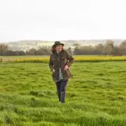 Extinct Butterfly Returns: Large Tortoiseshell Spotted Breeding Across Southern England