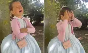 Five-Year-Old's Hilarious Meltdown Over Baby Brother Gender Reveal