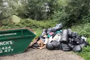 Four Tonnes of Cannabis Farm Waste Illegally Dumped in Sussex Ancient Woodland