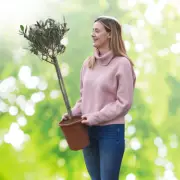 Gardeners Can Secure Olive Trees Under £10 with Clever Cashback Deal