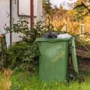 Gardener's Free Makeover for Pensioner Quoted £3,000 Stirs Emotions