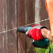 Gardeners Urged to Drill Fence Holes for Hedgehog Highways Before Spring