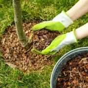 Gardening Expert Reveals Key Mulch Selection Tips for Spring Planting