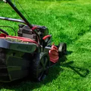 Gardening Expert Reveals Perfect Lawn Mowing Height for Spring