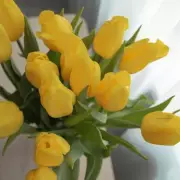 Gardening Expert Reveals Pin Method Beats Coin Trick for Upright Tulips