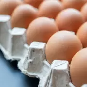 Gardening Expert Urges Public to Repurpose Egg Cartons for Garden Use