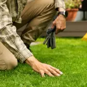 Gardening Expert's Simple Three-Product Method to Level Bumpy Lawns
