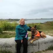 German Shepherd Sniffs Out Owner's Lung Cancer Through Breath Detection