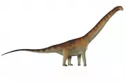 Giant Brazilian Dinosaur Discovery Reveals Ancient Continental Connections