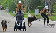 Gisele Bundchen's Miami Family Stroll Amid Tom Brady Co-Parenting Reports