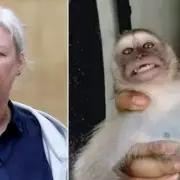 Global Monkey Torture Ring Exposed: British Women Among Those Sentenced