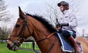 Gold Cup Showdown: Redknapp's Jukebox Man Aims for Racing's Front Page Glory