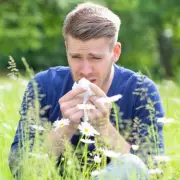 GPs Urge Early Action to Combat Hay Fever Before Pollen Season Peaks