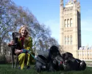 Green MP Accuses Farage of Trump-Style Election Denial Over Byelection Comments