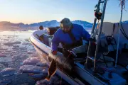 Greenland's Fishermen Face Unpredictable Seas as Climate Change Intensifies